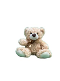 11" Plush Bear(Pre-Order Now! Expected Arrival in June 2024) - Lion Wholesale