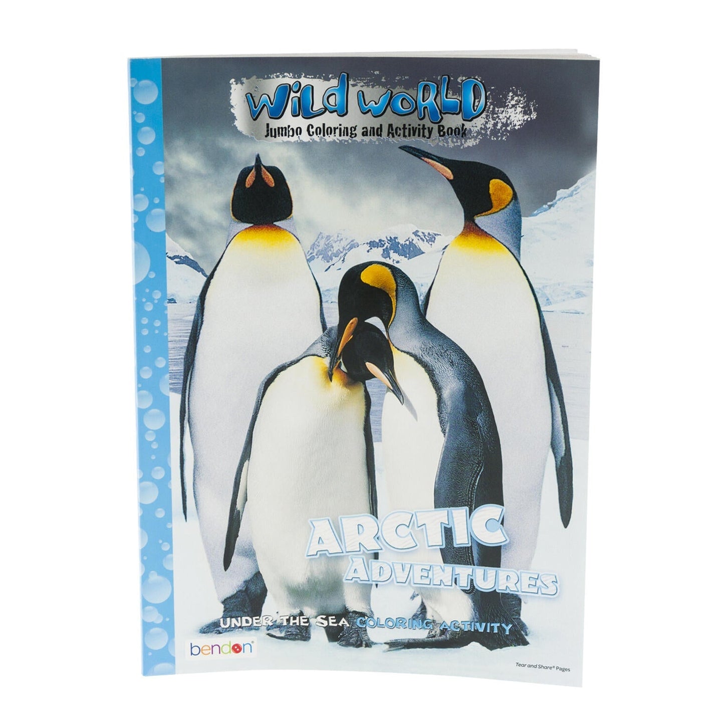 Wild World Arctic Adventure Coloring and Activity Book – 80 Pages of Fun Activities - Lion Wholesale