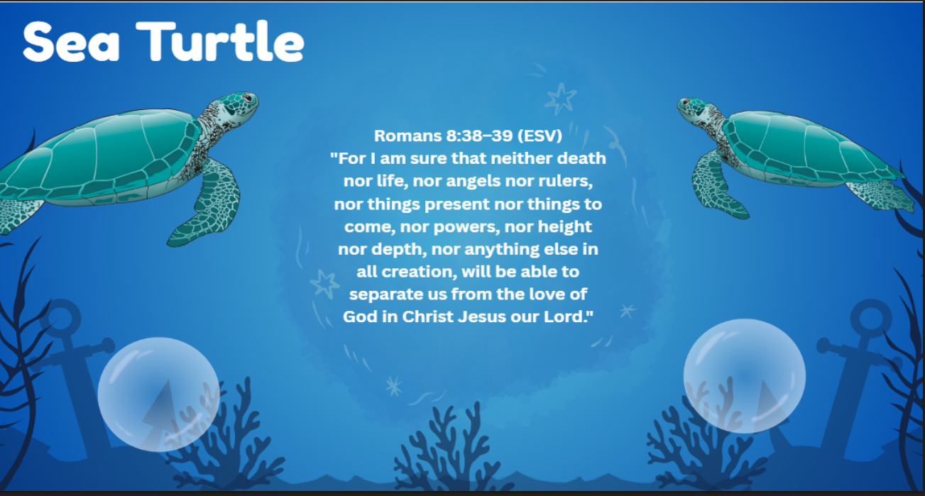 Ocean Blue Lid Print Outs