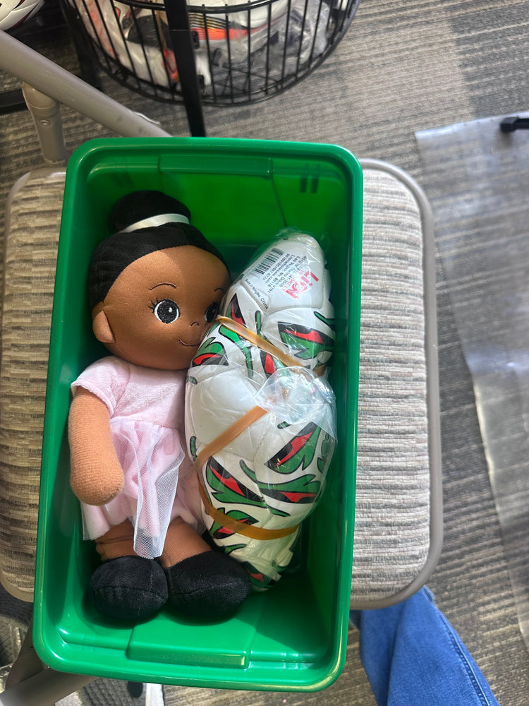 Bulk Dolls-Ballerina Dolls, Baby Dolls and More