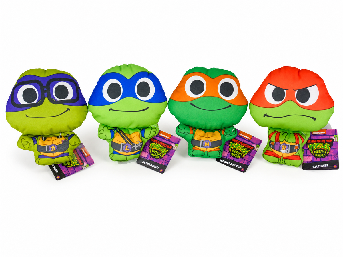 Teenage Mutant Ninja Turtle Set of 4