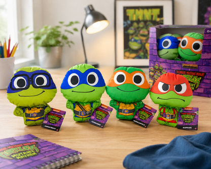 Teenage Mutant Ninja Turtle Set of 4 with display box in background