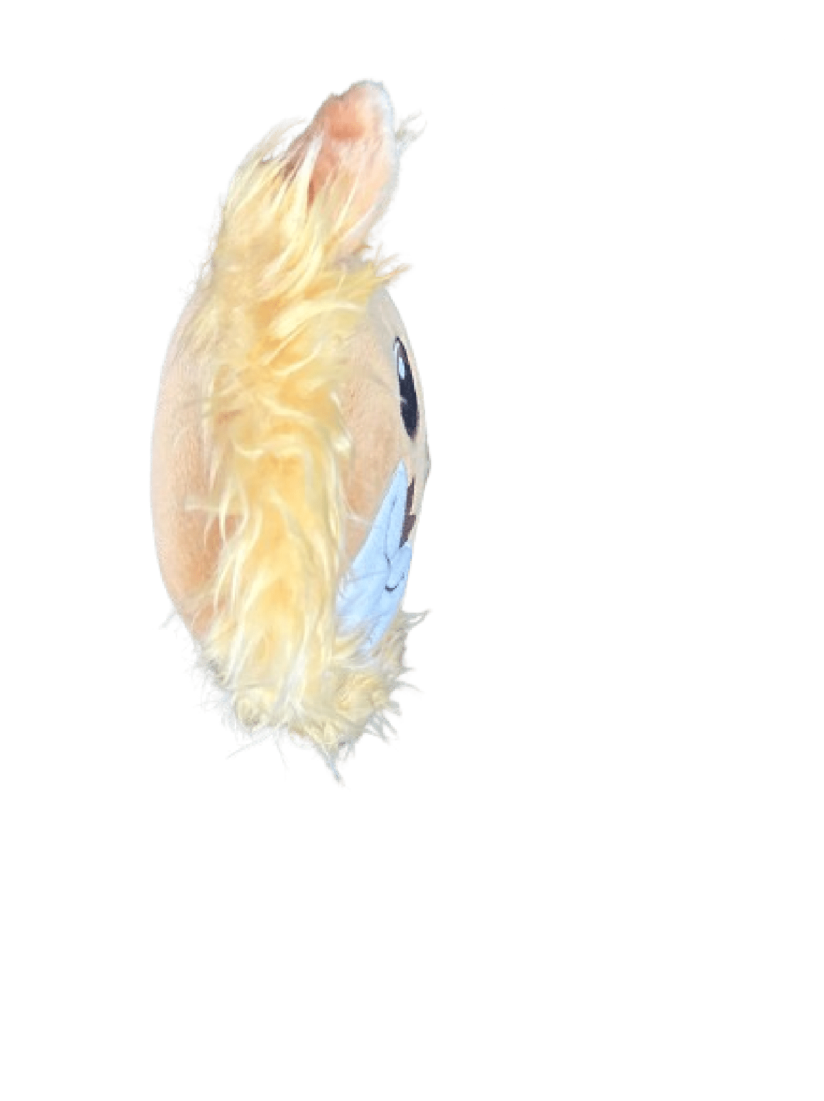 Huggable Soft Plushie "Richard the Lion Hearted" - Lion Pillow 5" - Lion Wholesale