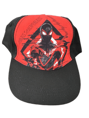 New Arrival |Official Batman & Spiderman Baseball Caps – Adjustable Superhero Hat( Sold Individually) - Lion Wholesale
