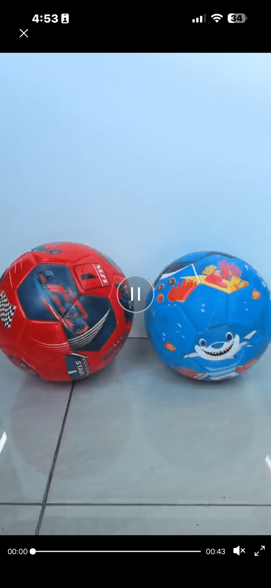 Pre - Order| Size 3 Ocean Themed Classic Match Grade Soccer Ball - Lion Wholesale