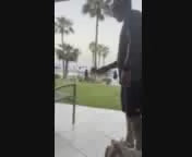 Classic Wooden Kendama Toy-Master Coordination and Focus(Actual colors may vary-sold individually)