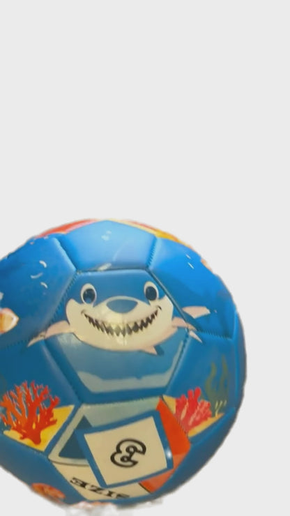 Pre-Order| Size 3 Ocean Themed Classic Match Grade Soccer Ball